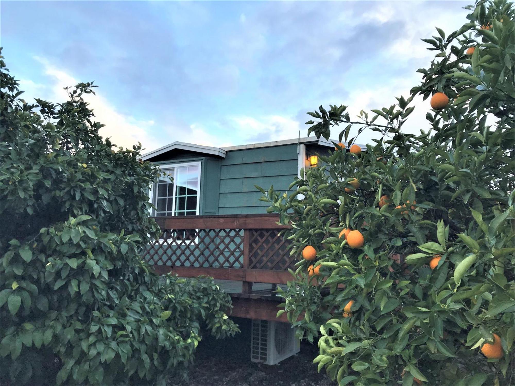 Casa Mayoral Pet Friendly Bed & Breakfast