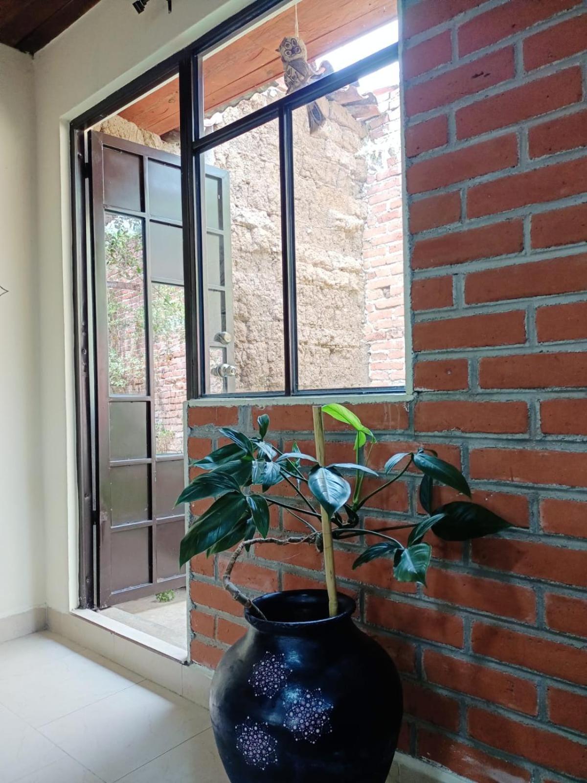 Casa Flor De Vida Guest house