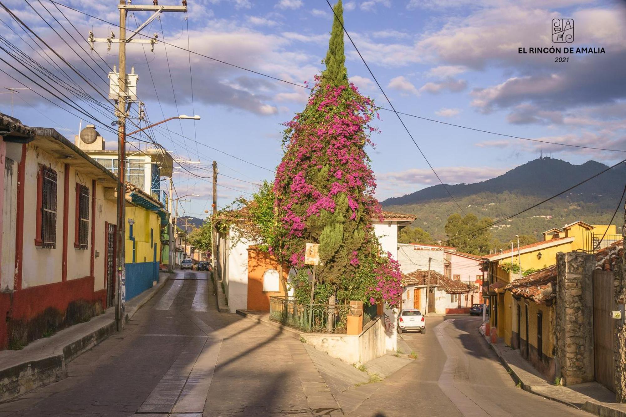 Na Apartment San Cristobal de las Casas