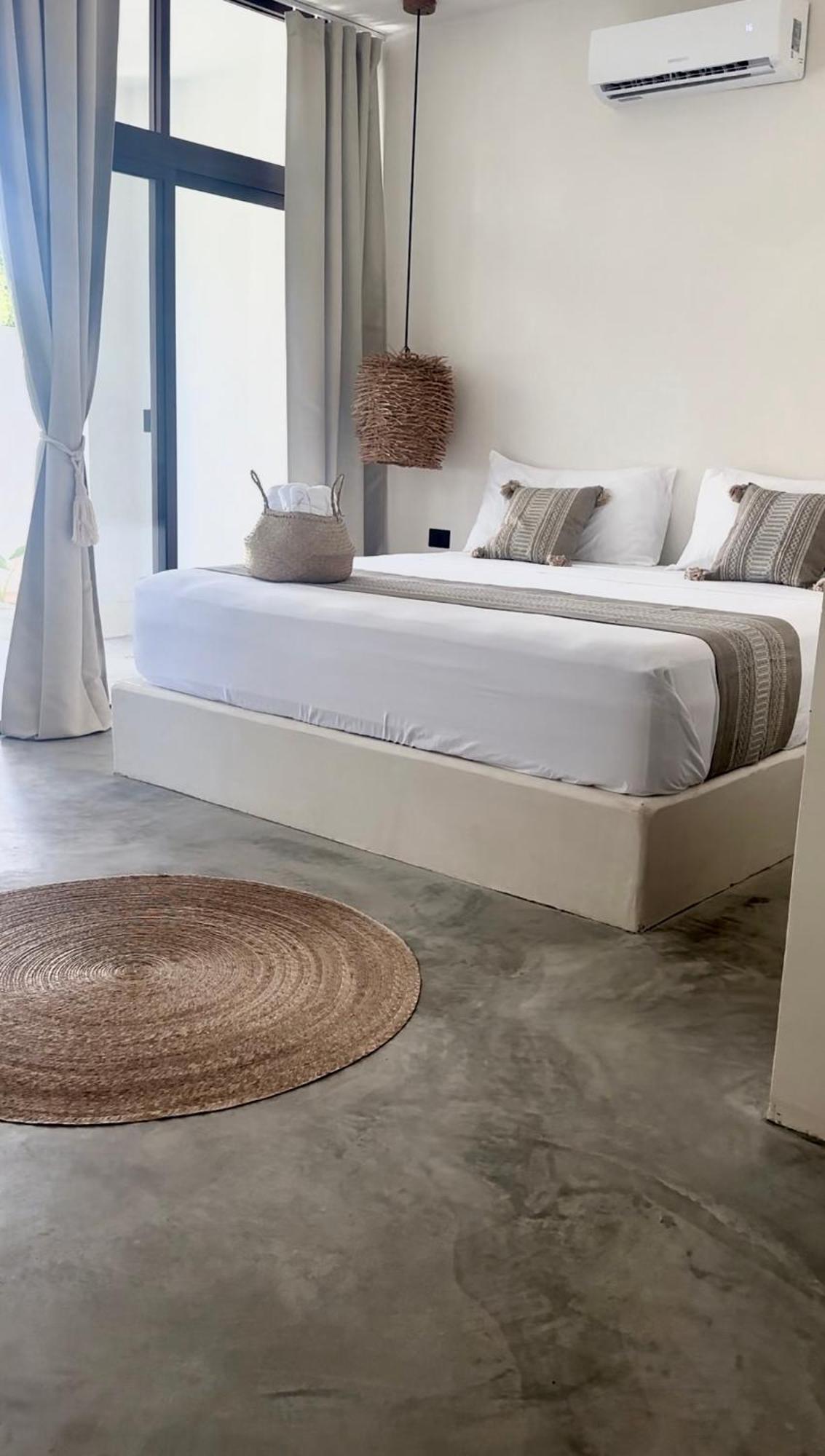 Coccoloba Isla Holbox