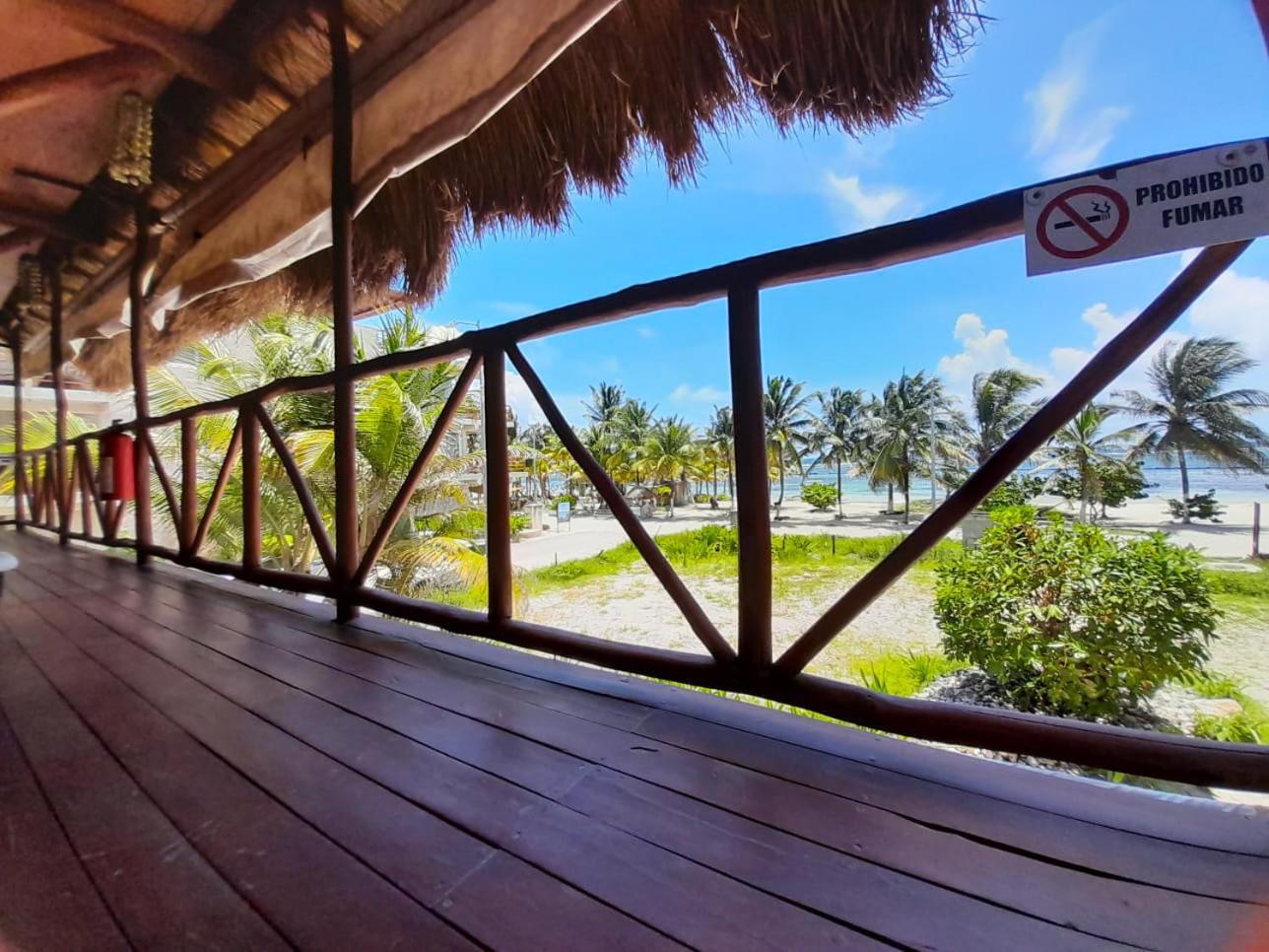 Palmeras De Lodge