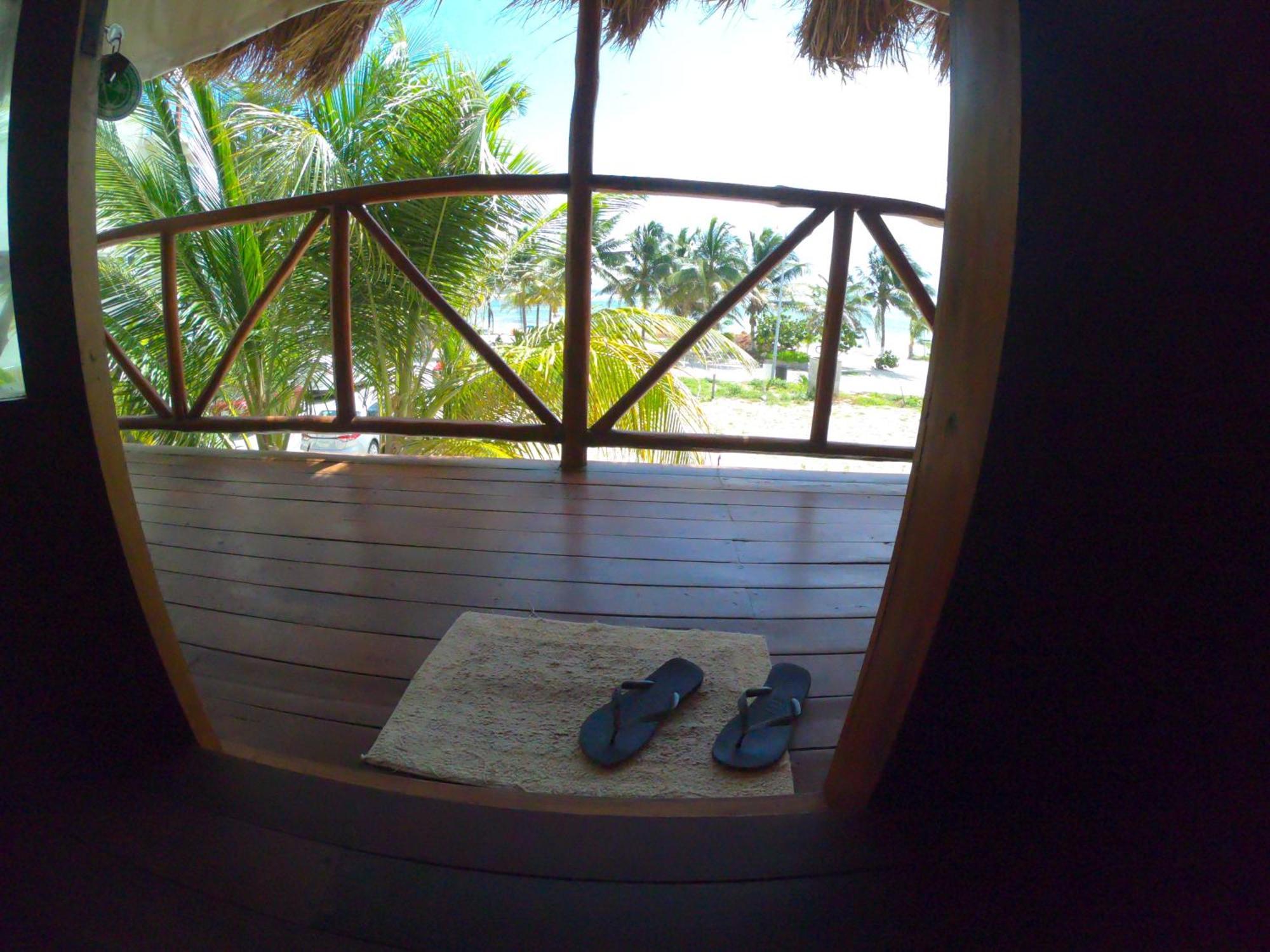 Palmeras De Mahahual