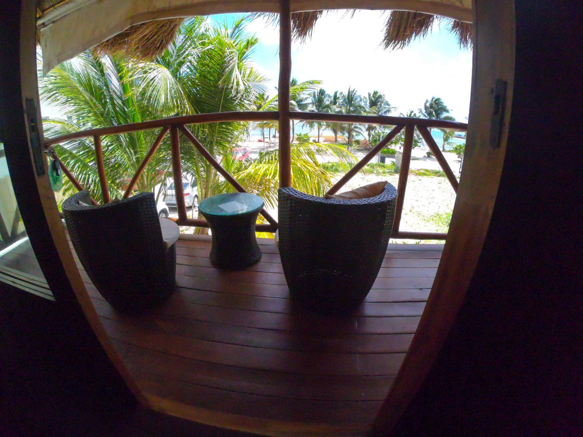 Palmeras De