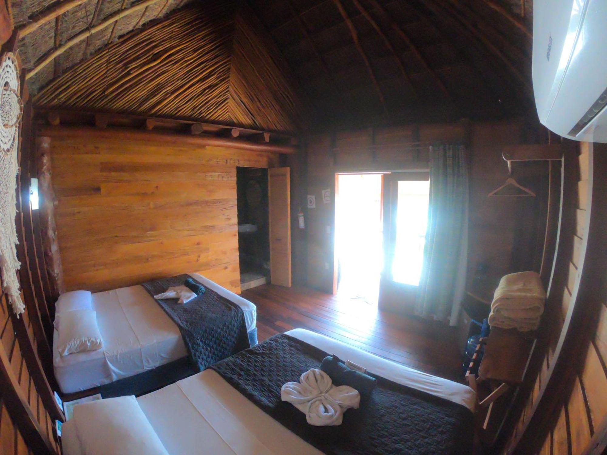 Palmeras De Lodge *