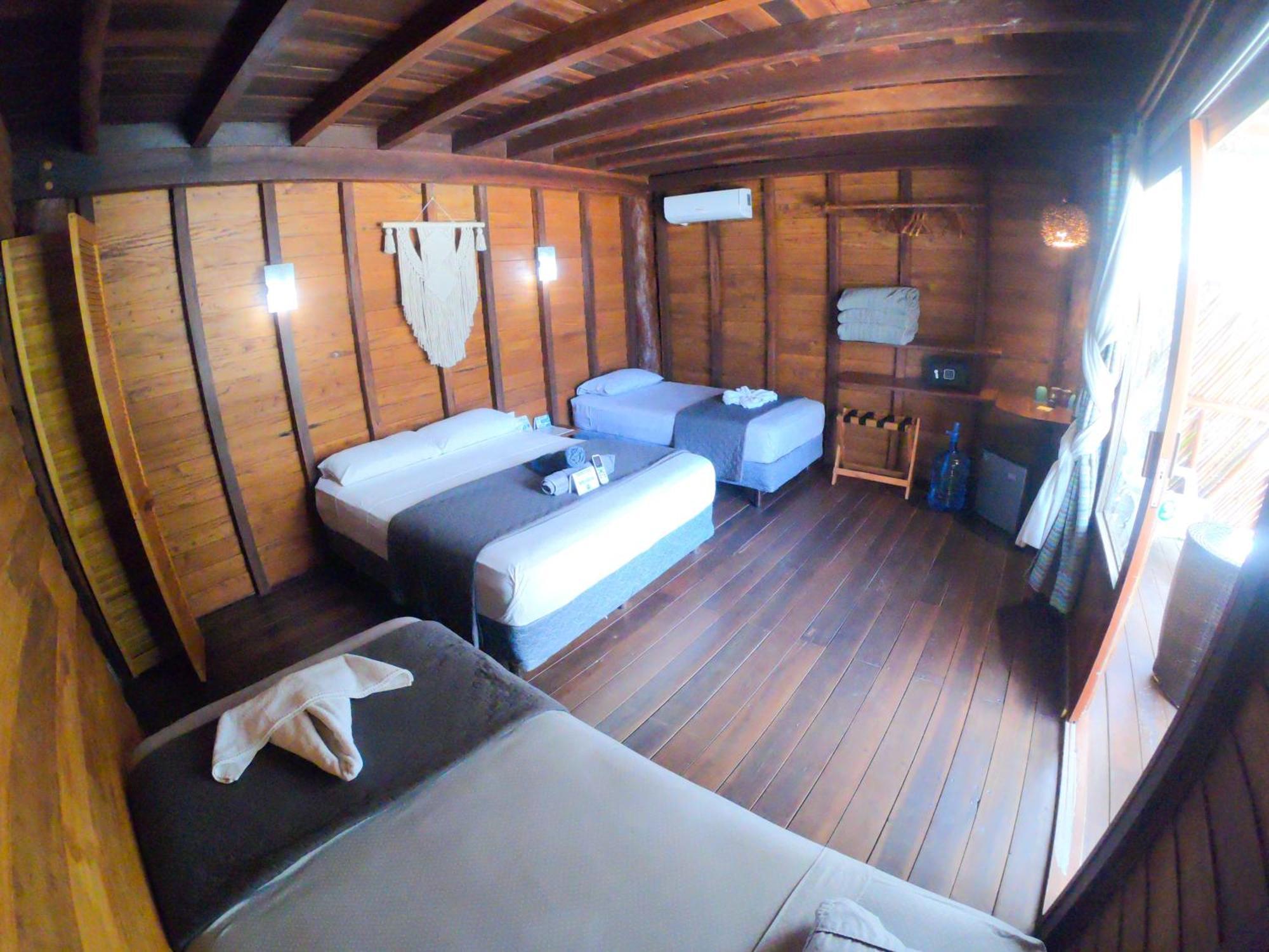 Lodge Palmeras De *