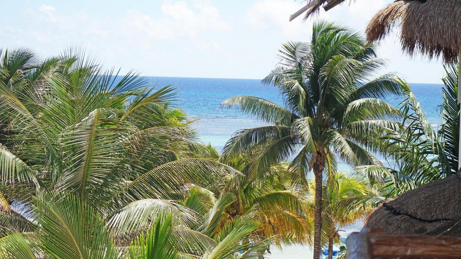 El Fuerte Beach Apartments Hotel Mahahual