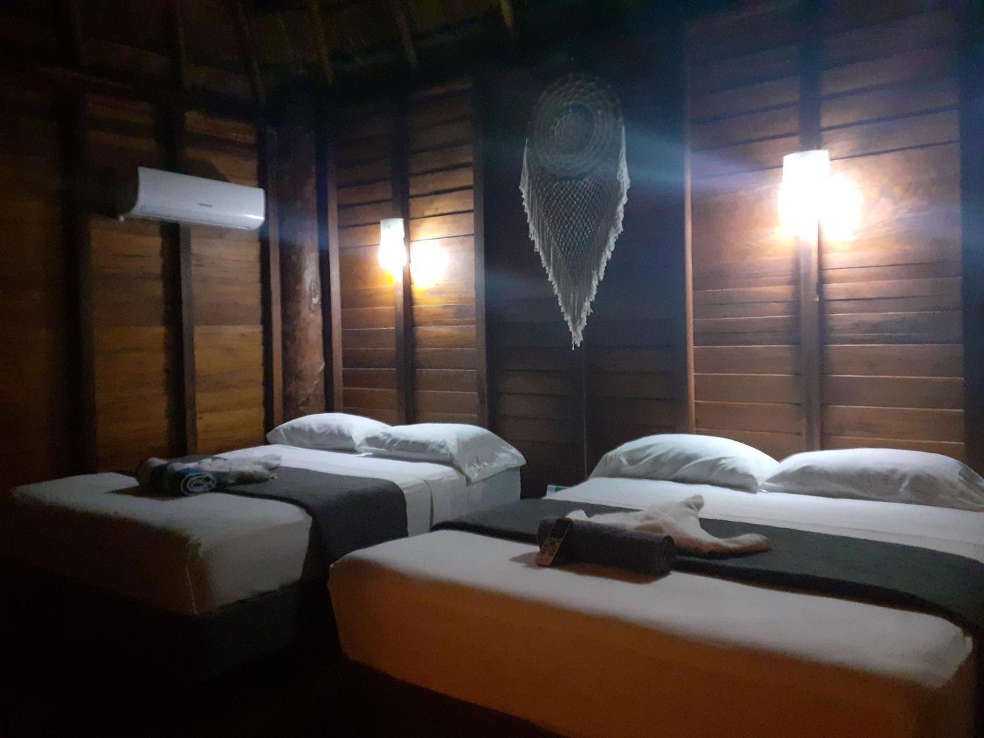 Palmeras De Lodge *