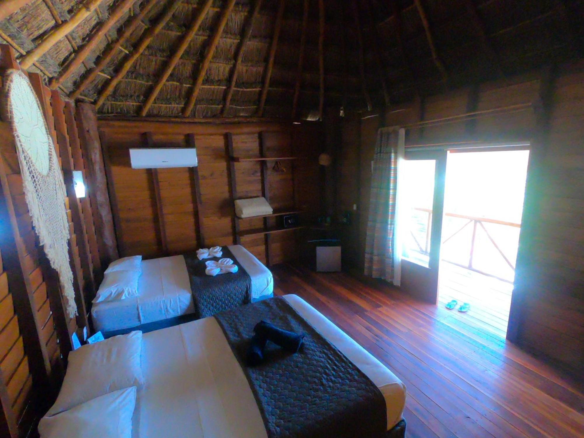 Palmeras De Lodge