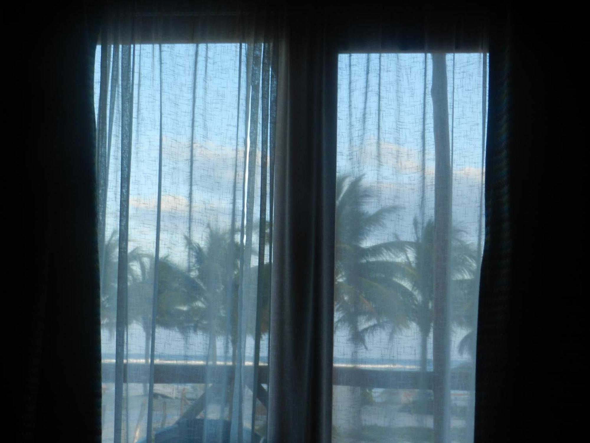 Palmeras De Mahahual