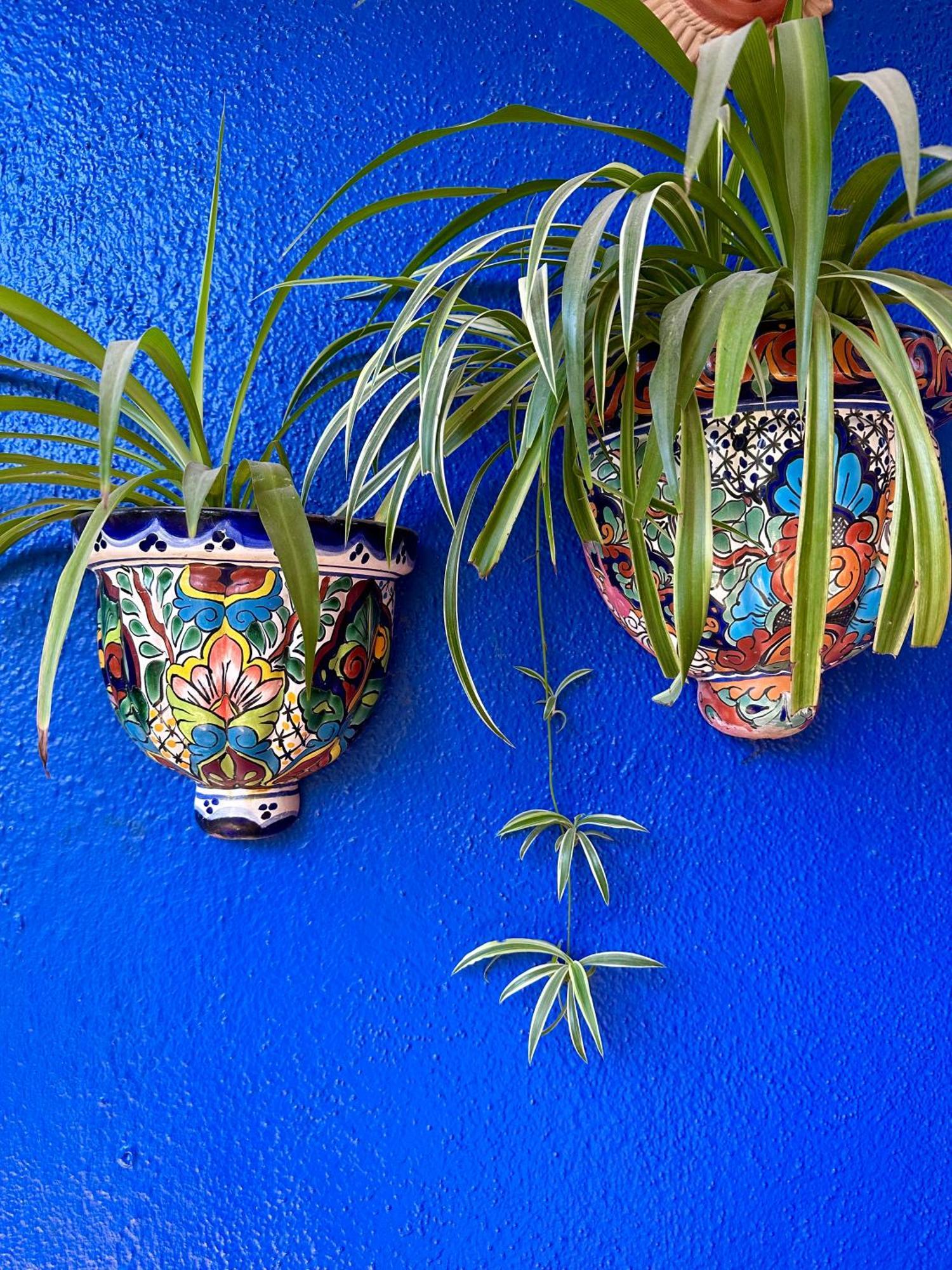 Siesta Boutique