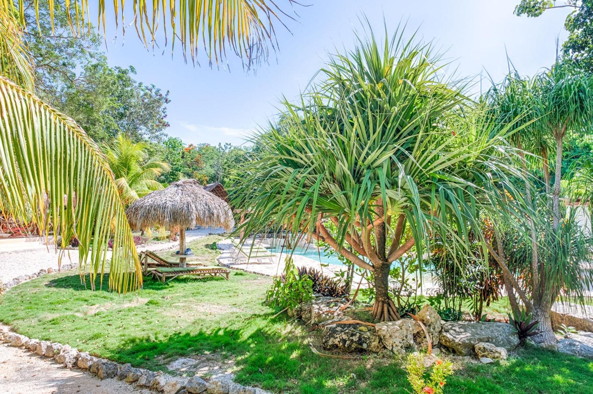 Morena Boutique Ecoliving Hotel