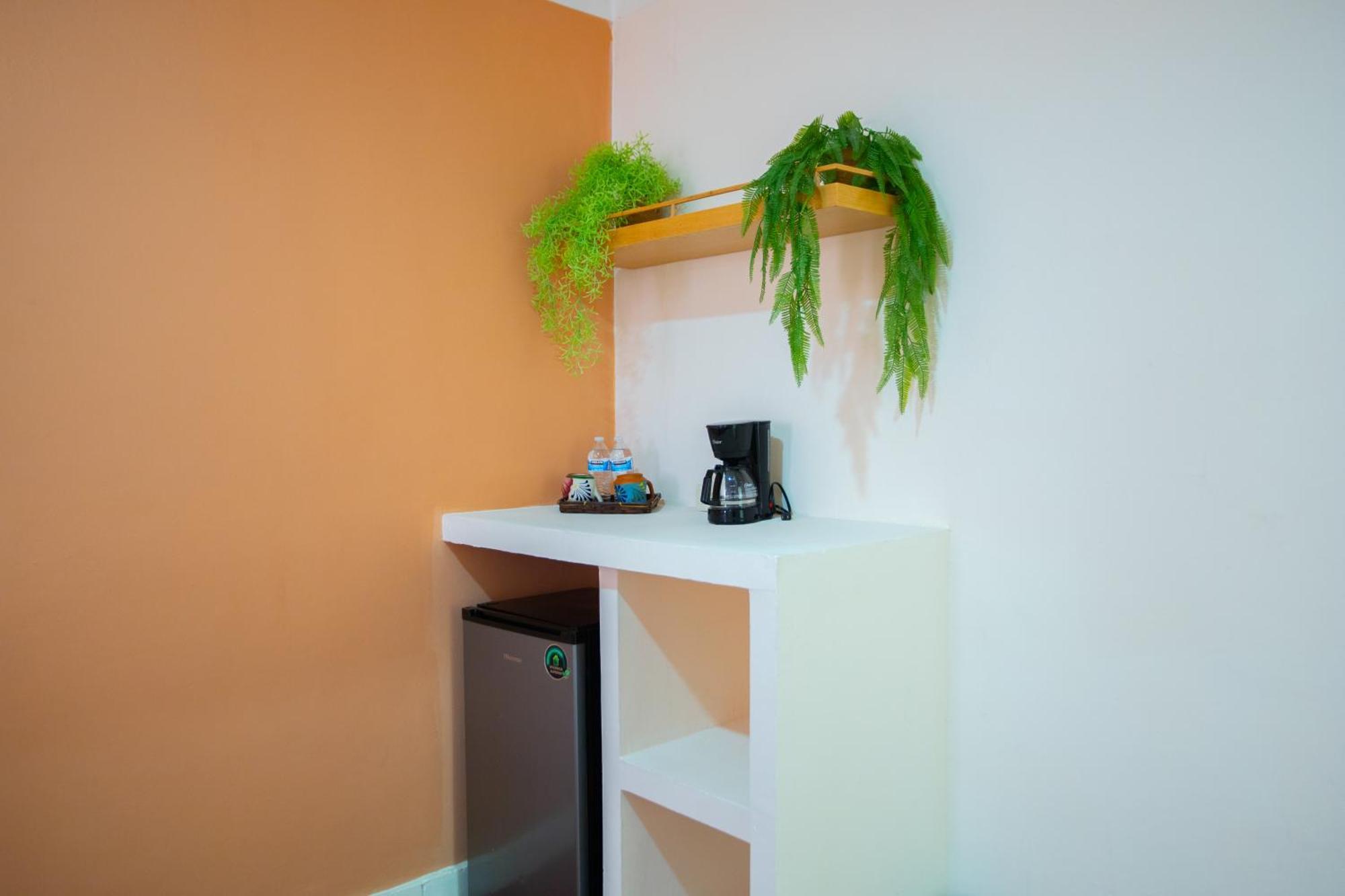 Tropicus Boutique Puerto Vallarta