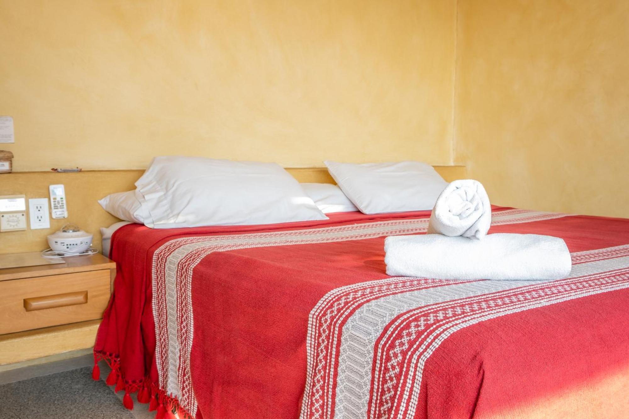 Bonobo - Coliving Guest house