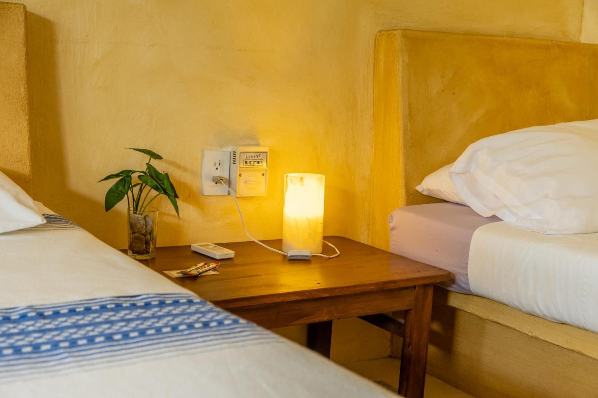 Bonobo - Coliving Guest house *