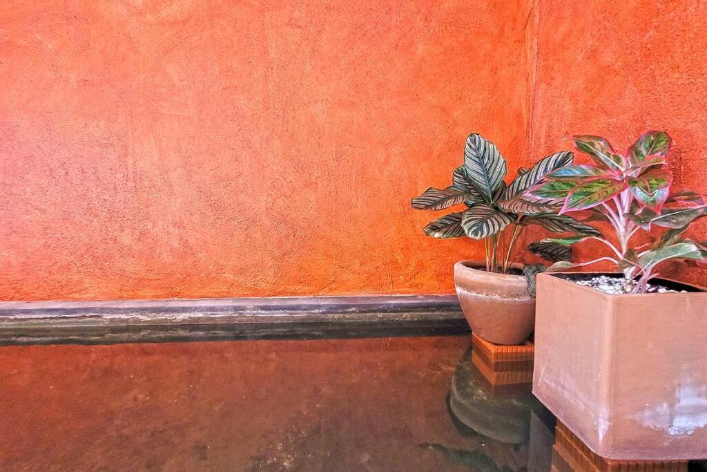 Casa Olivacea - Beachfront Villa *