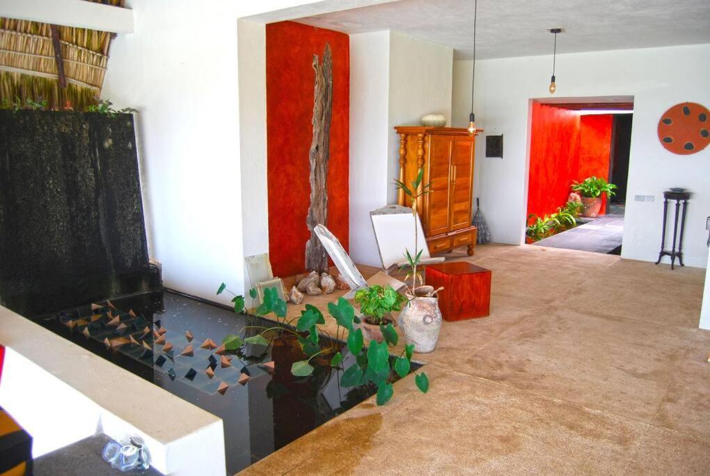 Villa Casa Olivacea - Beachfront Paso Hondo