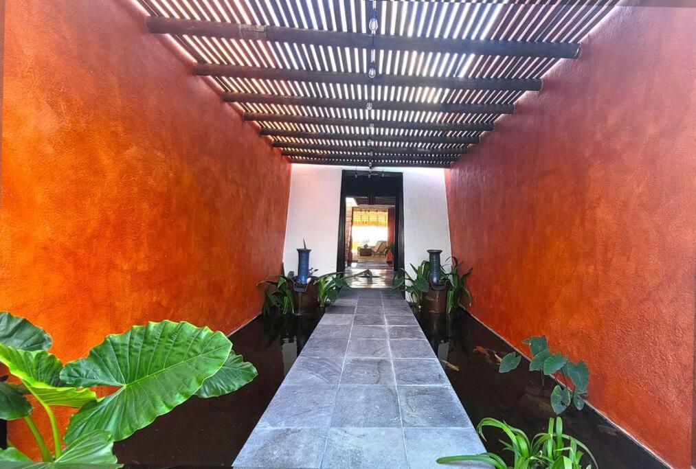 Casa Olivacea - Beachfront Villa Paso Hondo