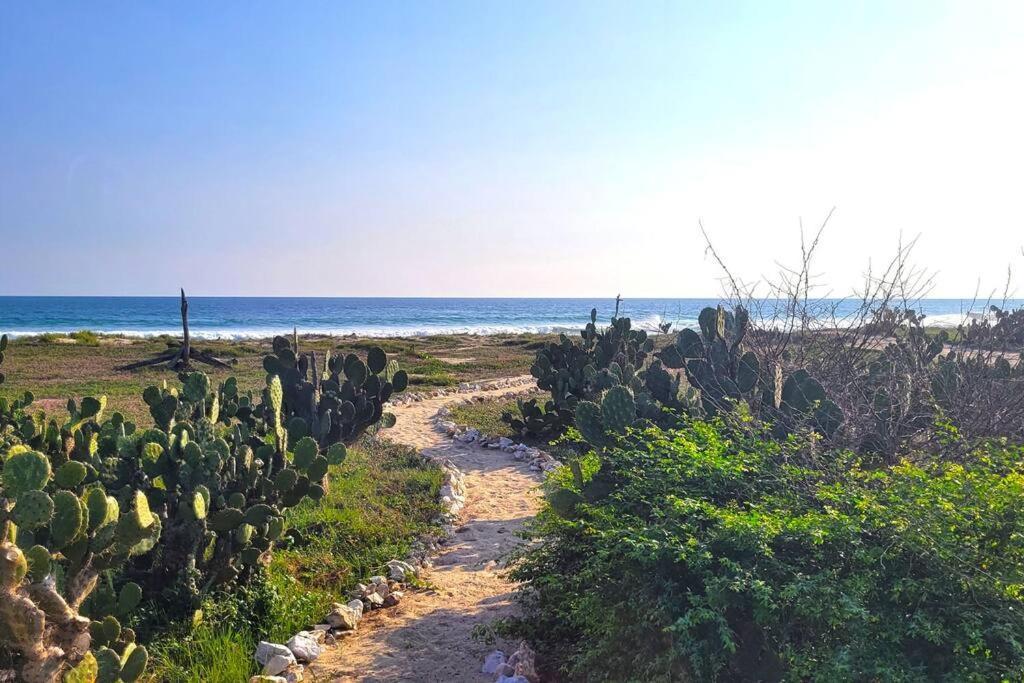 Casa Olivacea - Beachfront Villa Paso Hondo