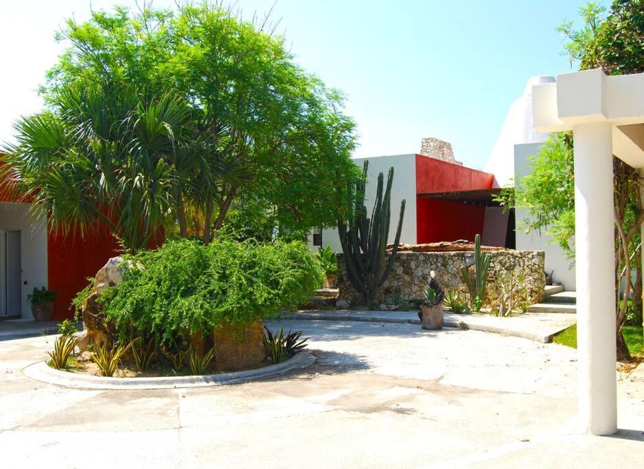 Villa Casa Olivacea - Beachfront *