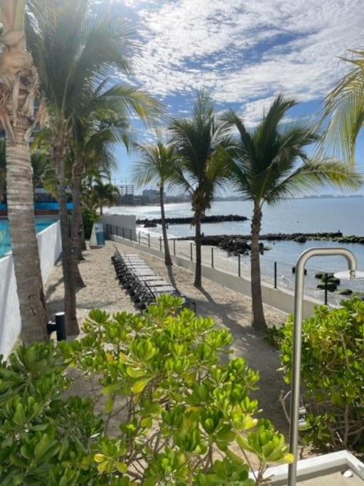 Fantastic Designer Apartment, Beachfront! Apartment
