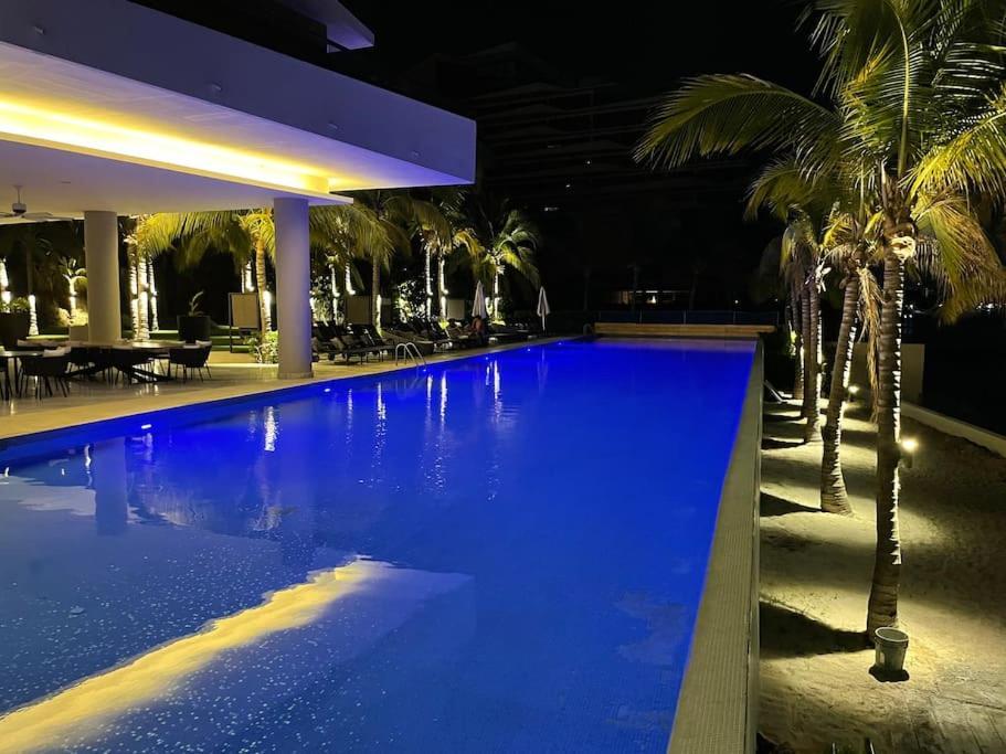 Fantastic Designer Apartment, Beachfront! Apartment