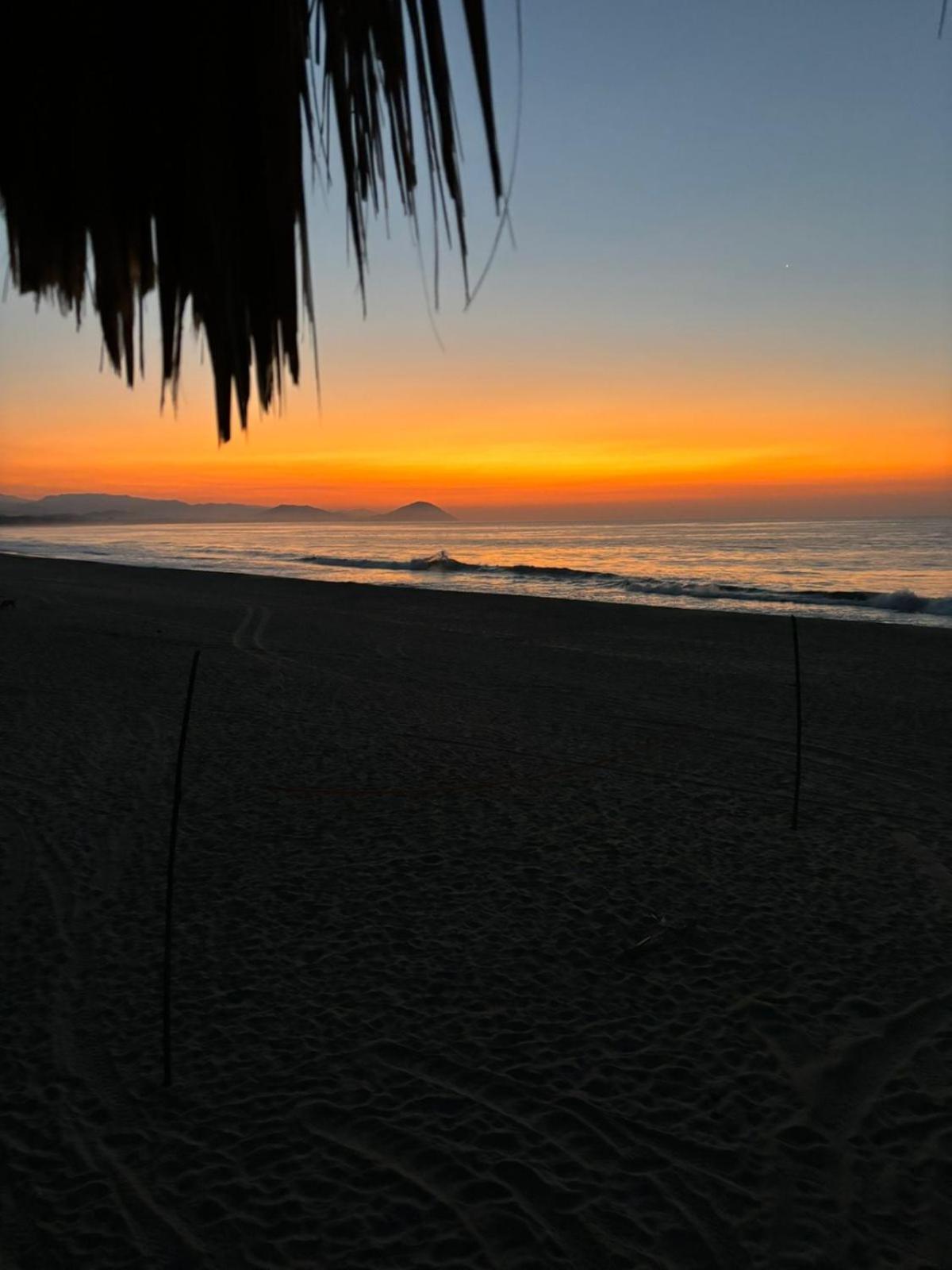 Alta Mar 5* Guayabas