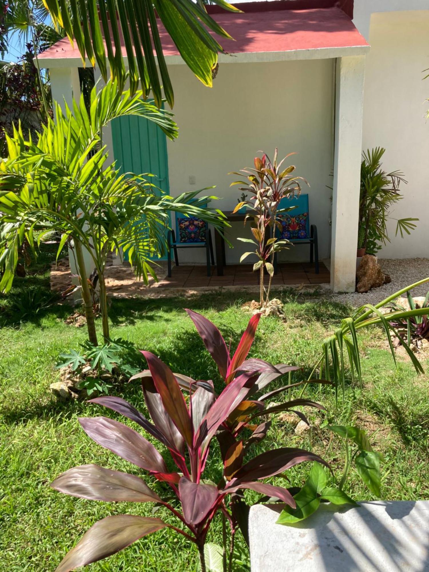 Paradise Apartment Leona Vicario