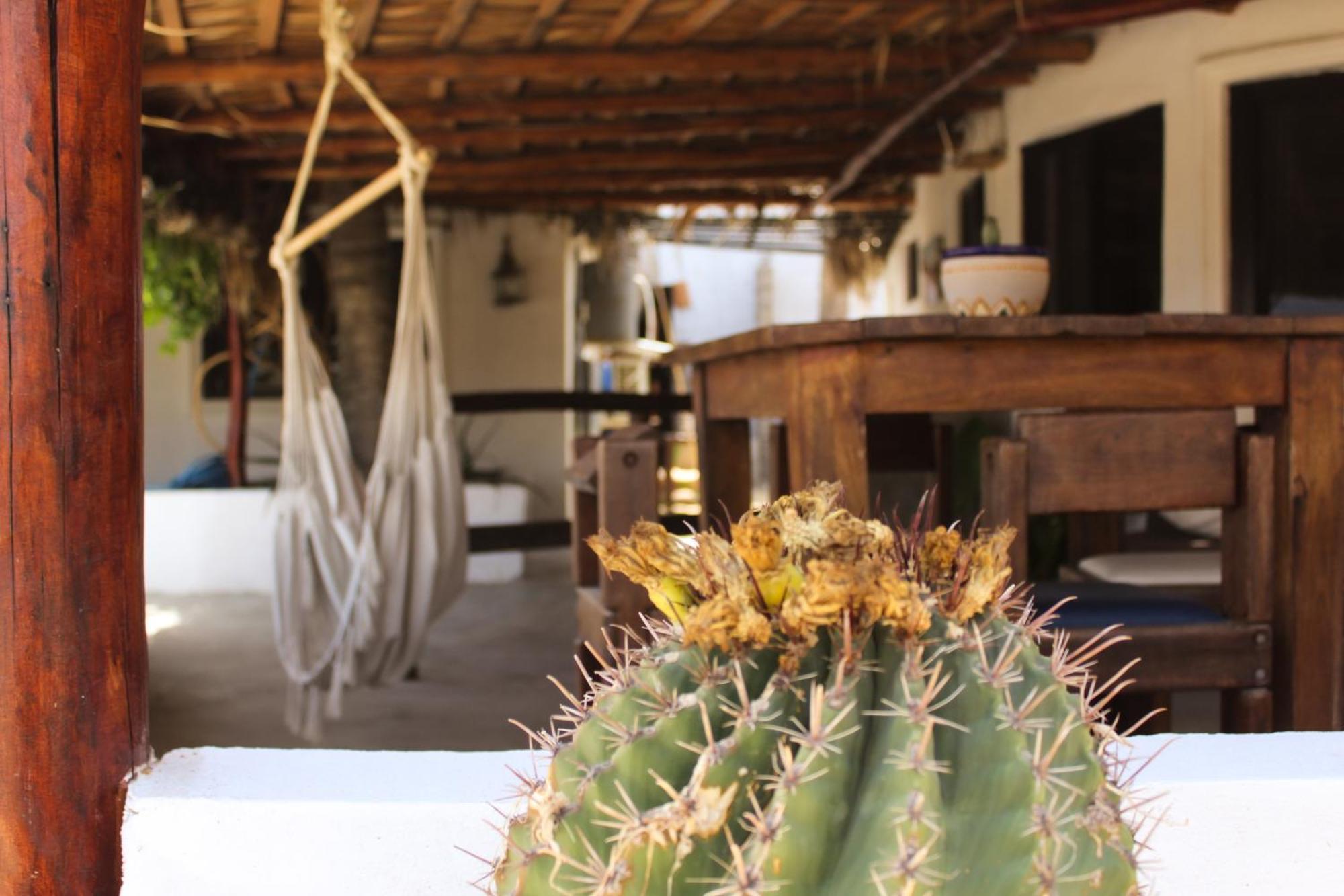 Rustico Lounge-property In Front Of The Holiday home San Jose del Cabo