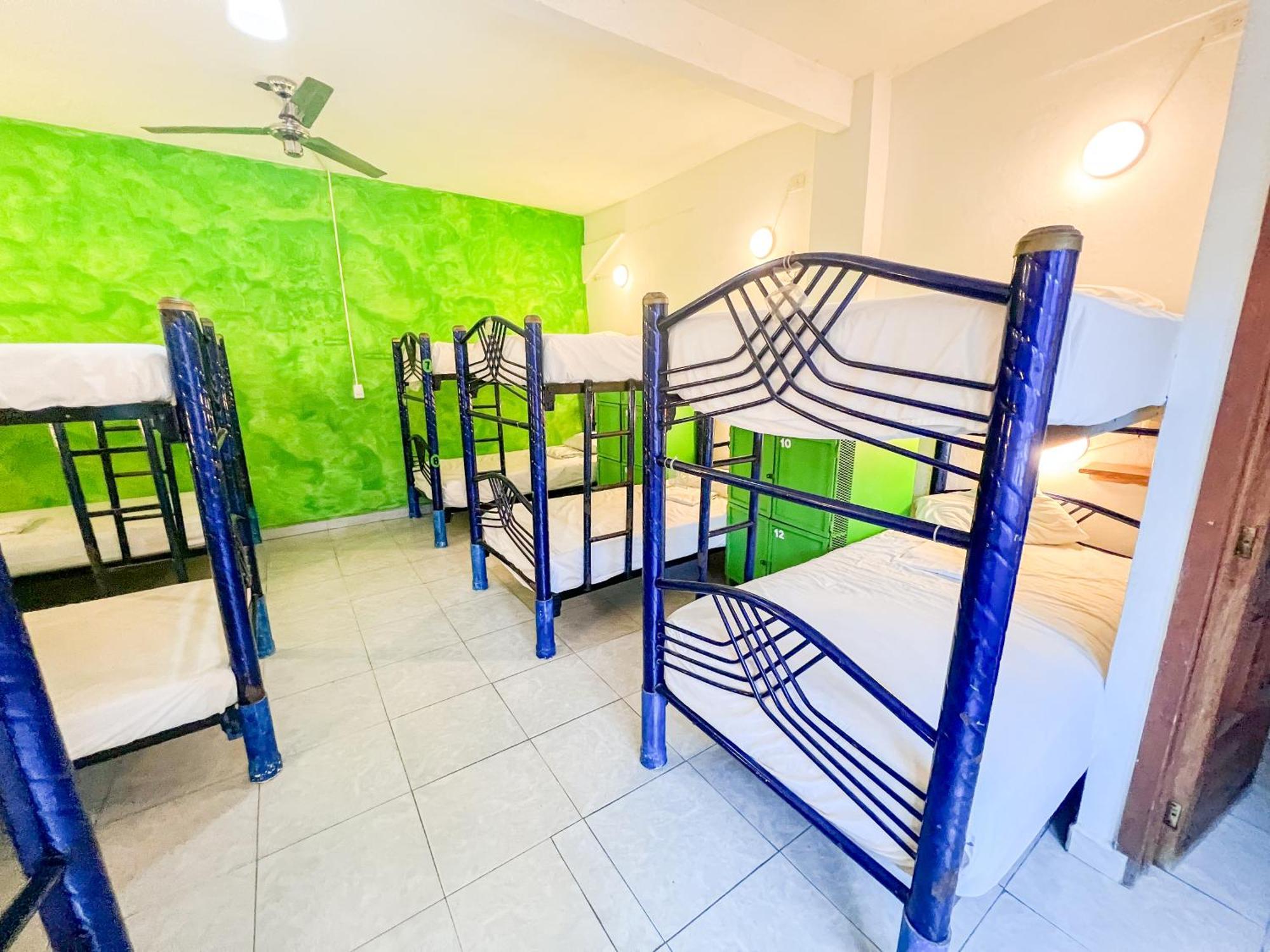 Ith Sayulita Amazing Surf Hostel Hostel *