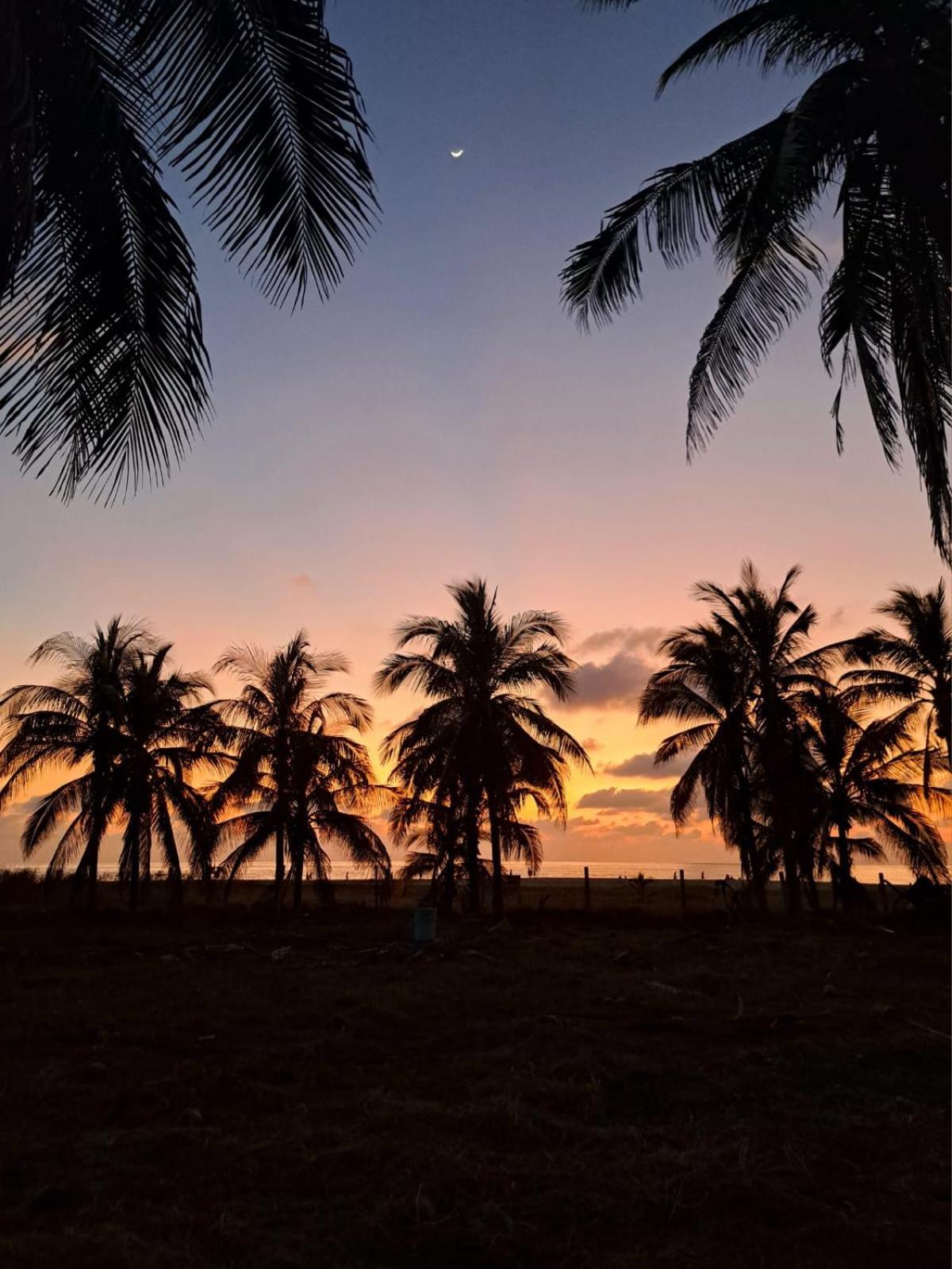 Hotelito Swiss Oasis - Playa Zicatela - Adults Only Hotel 3*