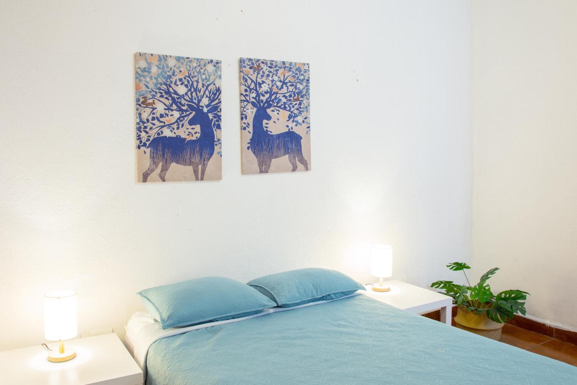 Hikuri House Apartment Tepoztlan