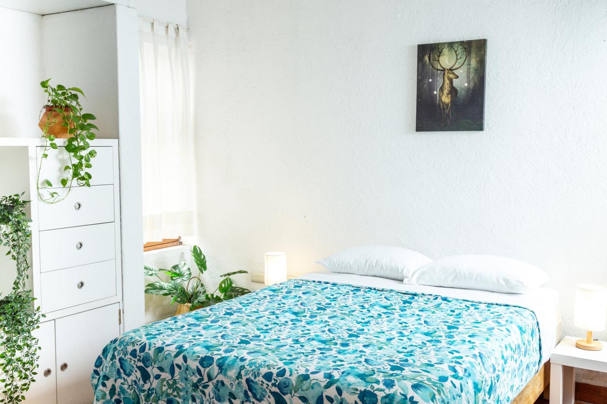 Apartment Hikuri House