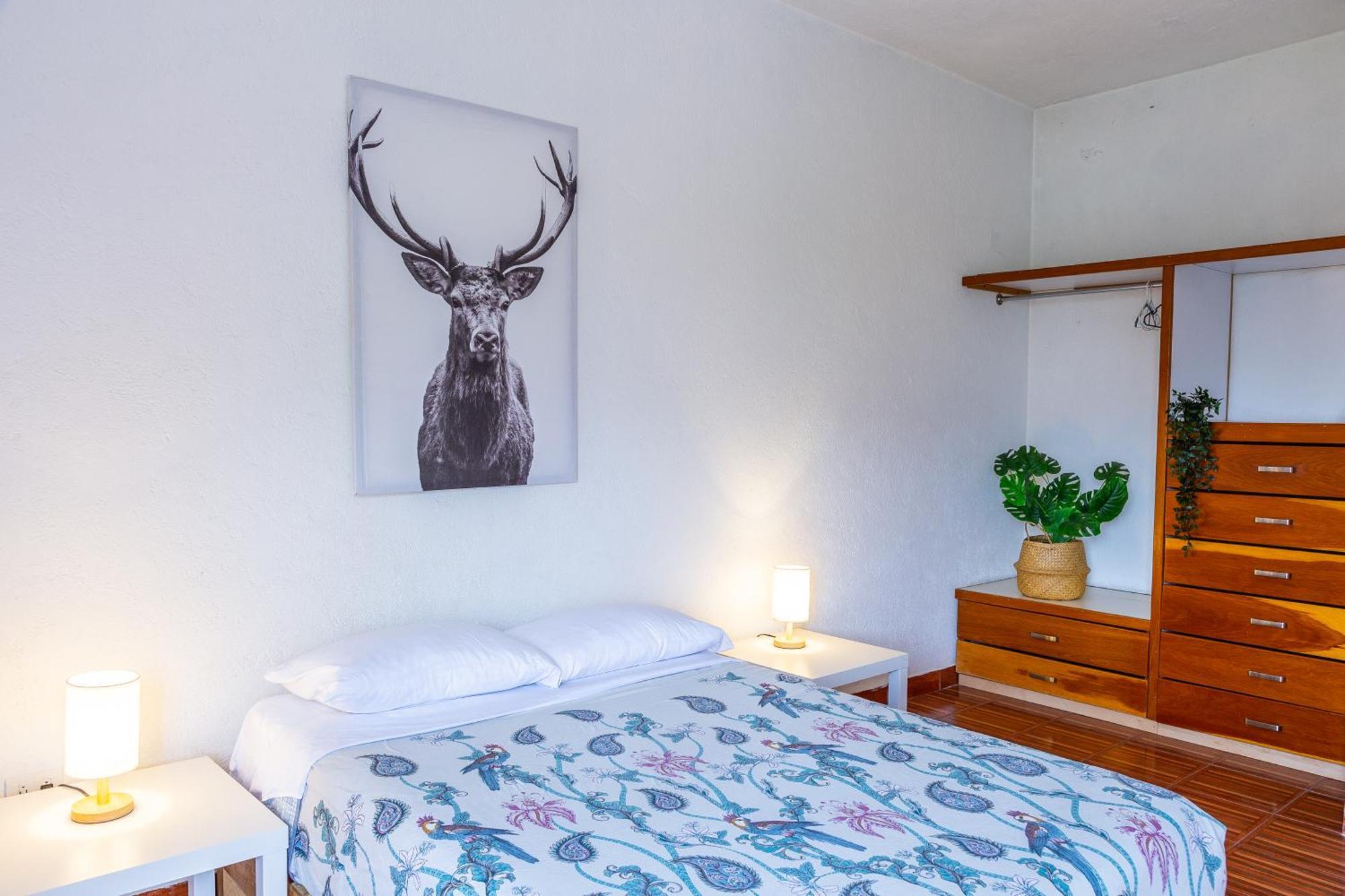 Hikuri House Apartment Tepoztlan
