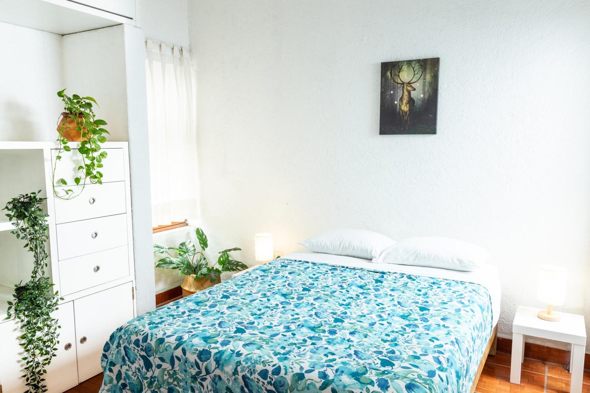 Hikuri House Tepoztlan