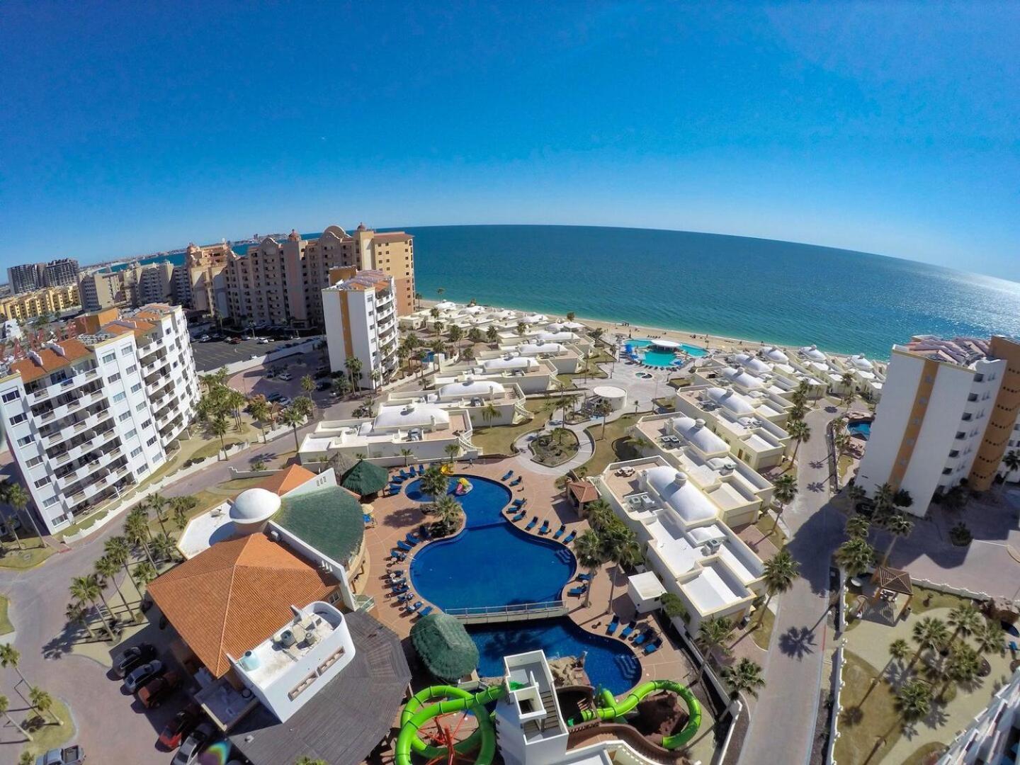 Palmas * Puerto Penasco