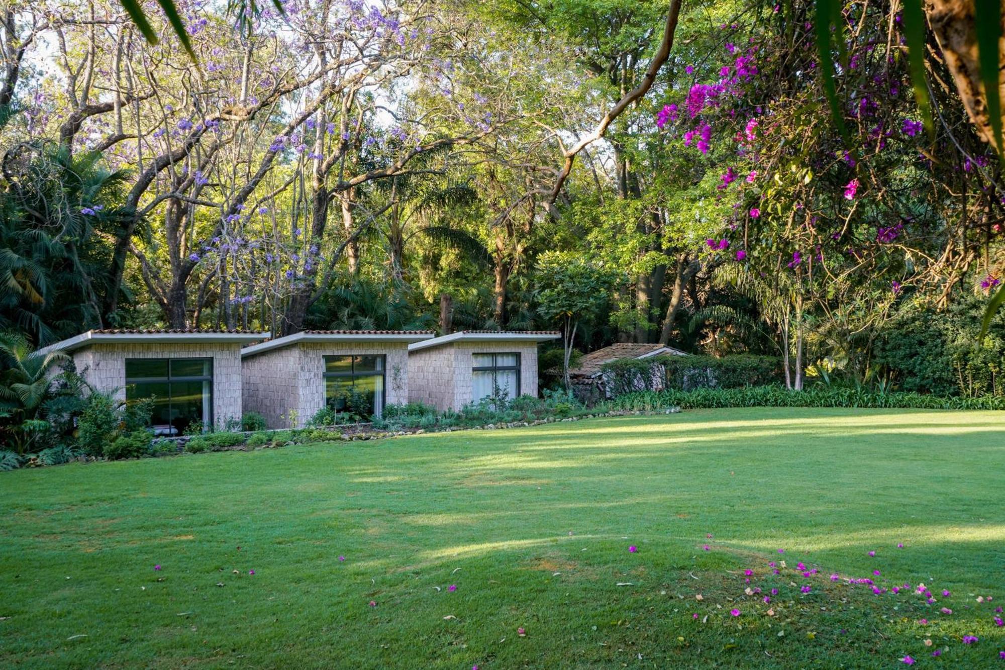 Hotel Amomoxtli