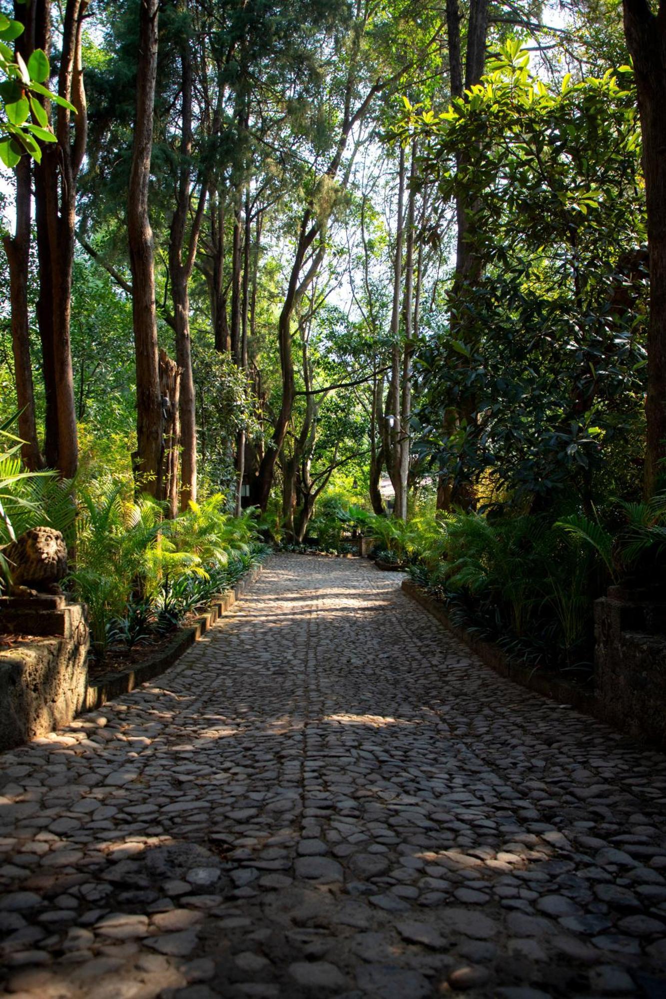 Amomoxtli 5* Tepoztlan