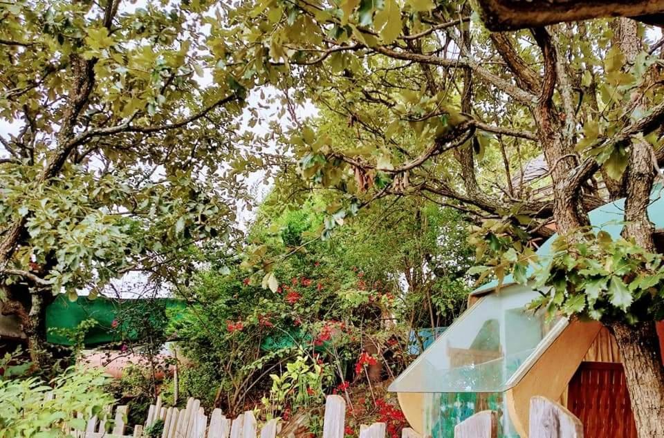 El Encinal De Flores *