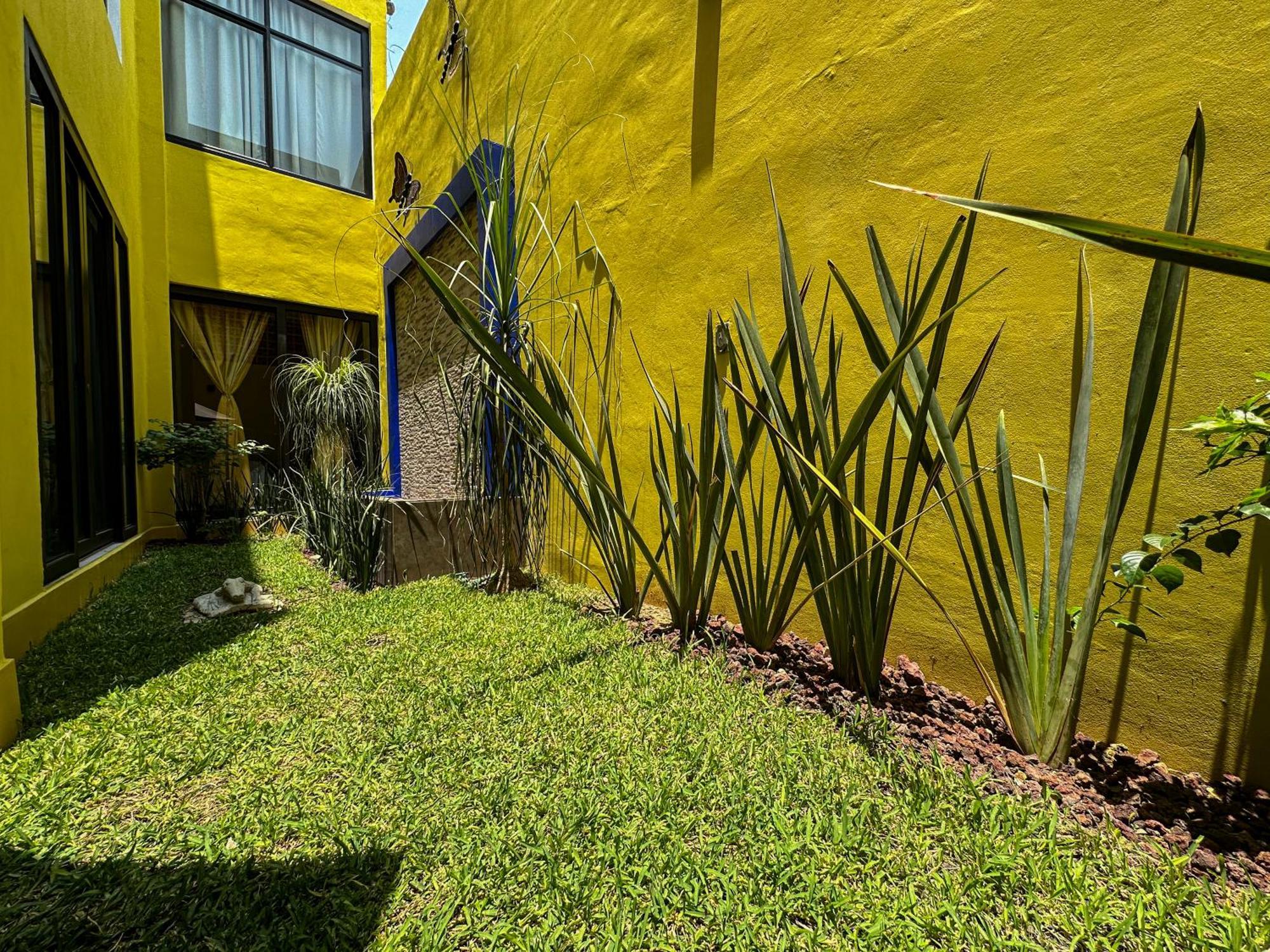 Casa Yoo