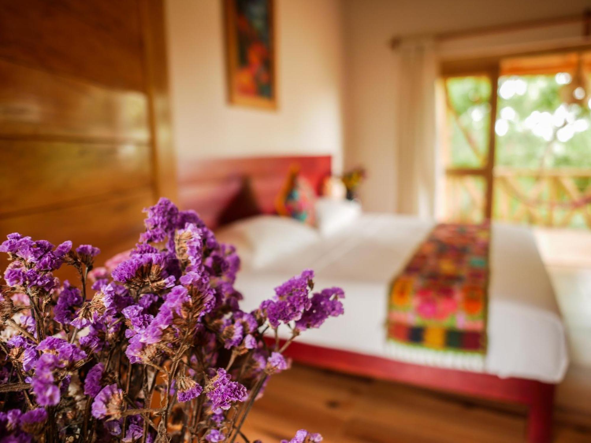 Carpe Diem Casitas & Mazunte