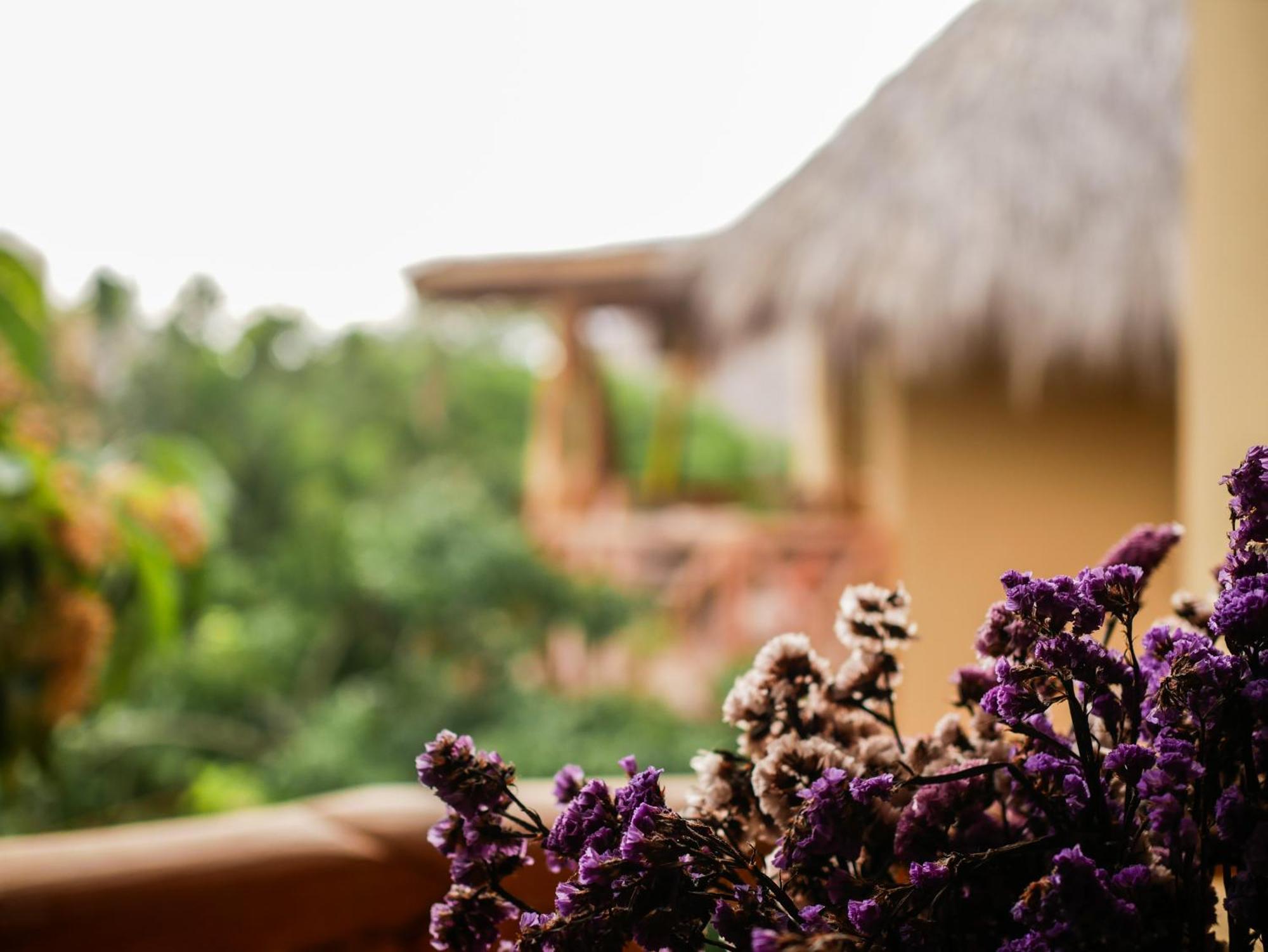 Carpe Diem Casitas & Lodge