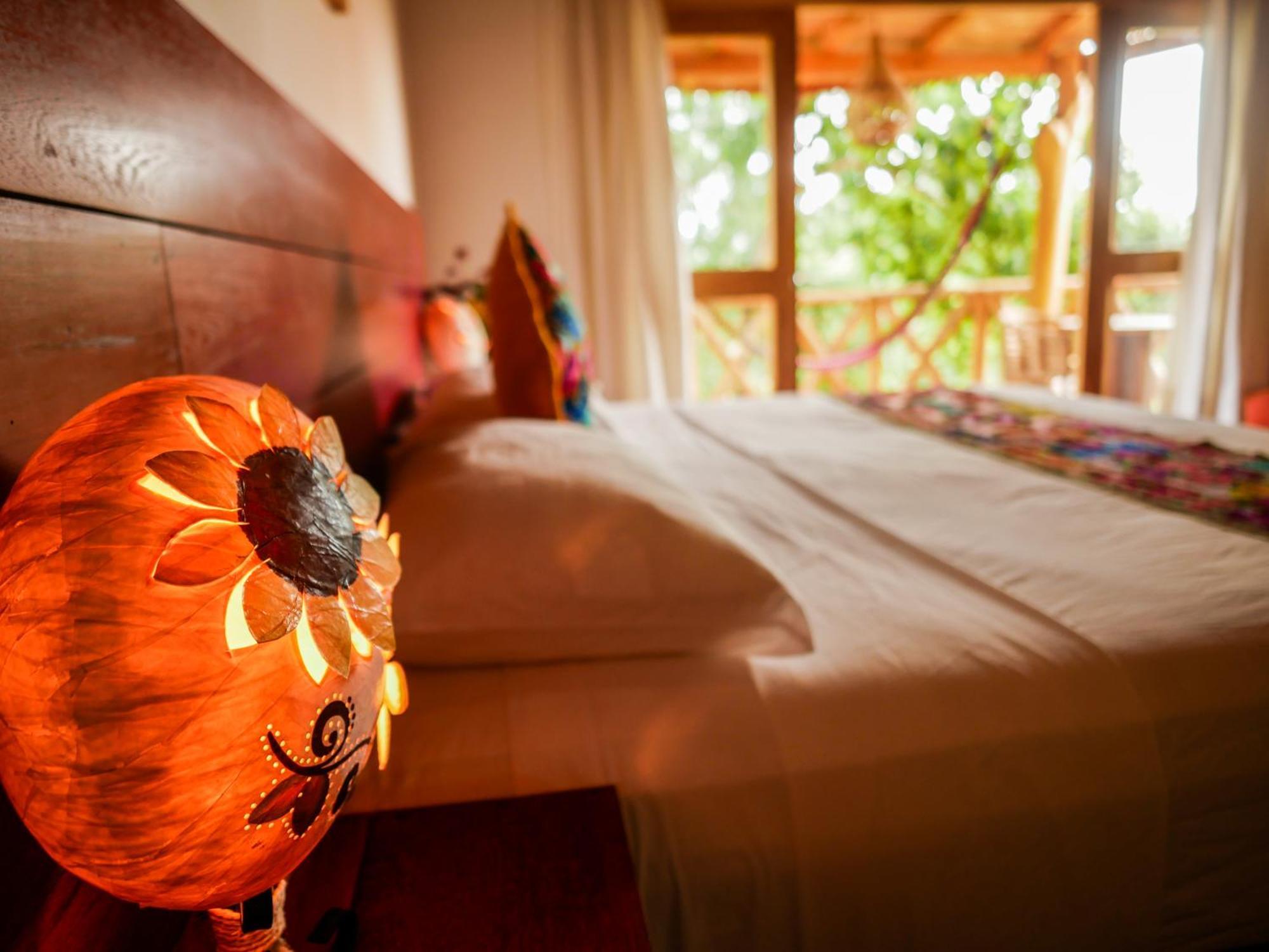 Carpe Diem Casitas & Lodge