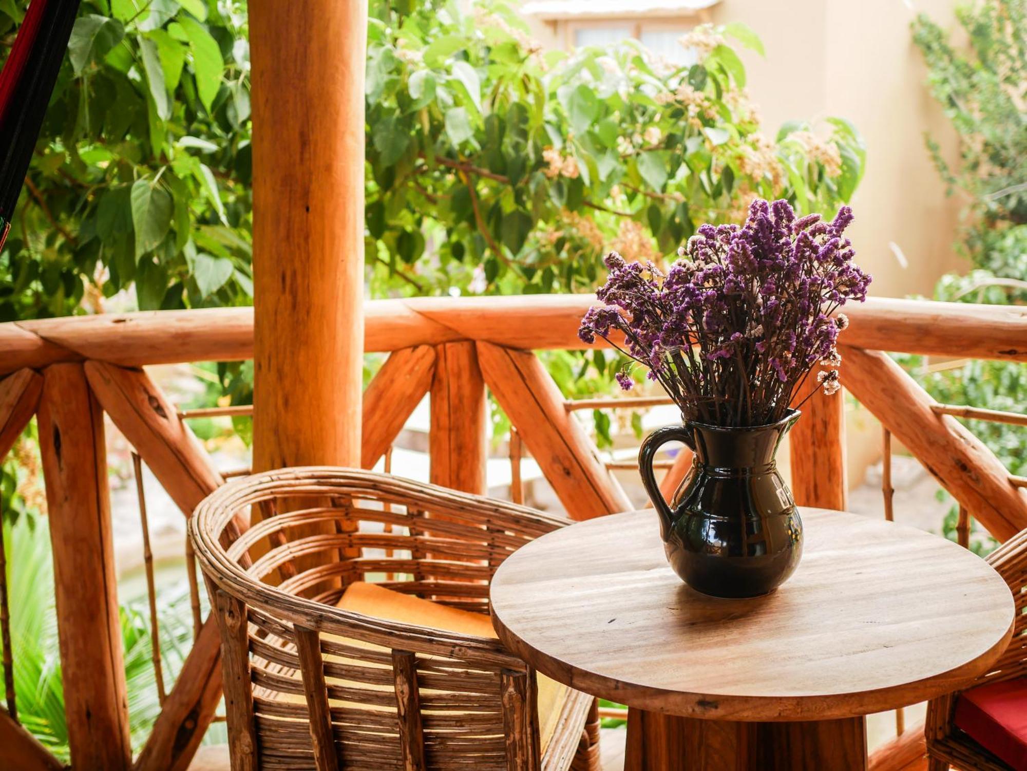 Carpe Diem Casitas & Lodge