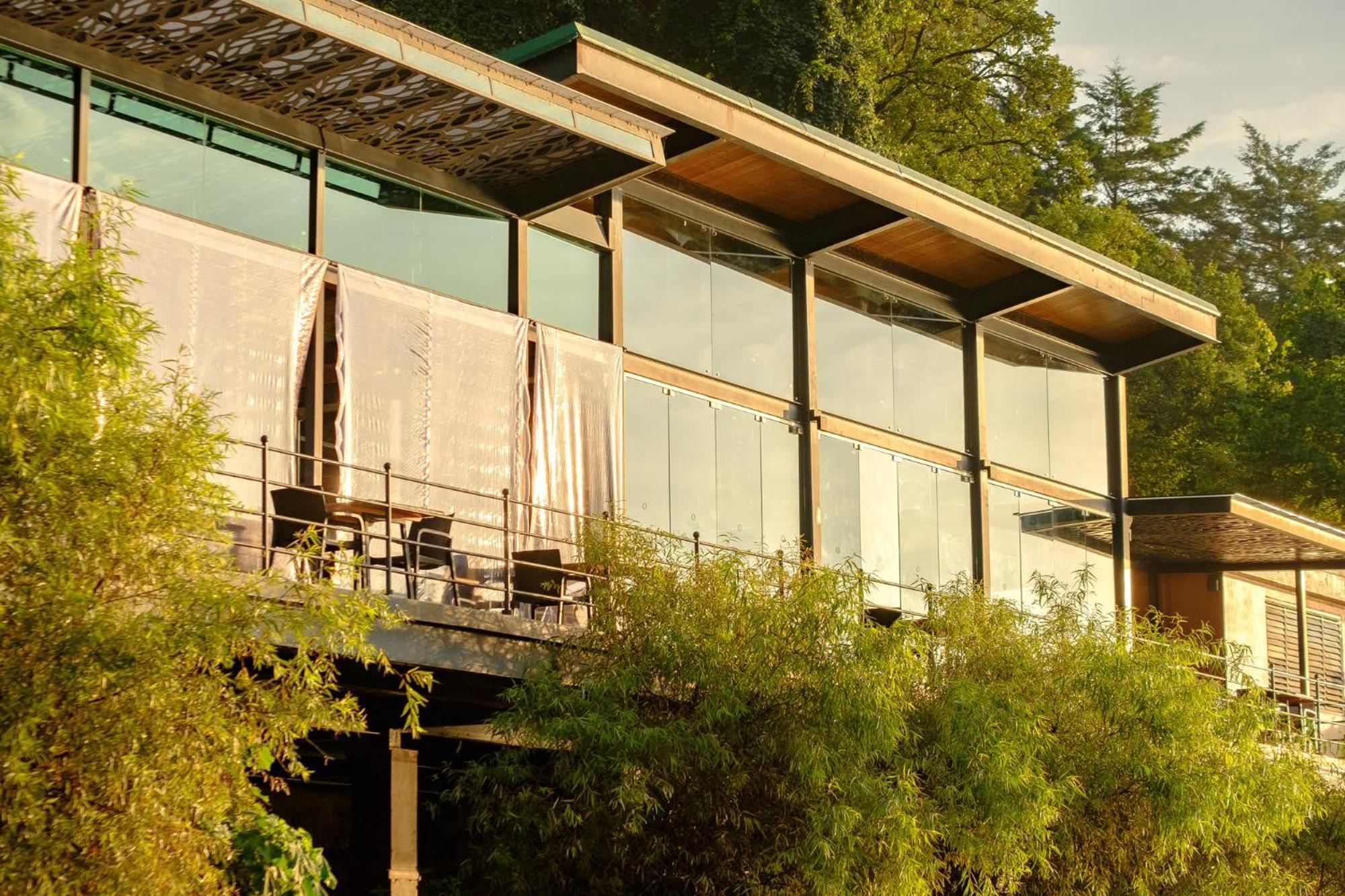 Hotel Forest And