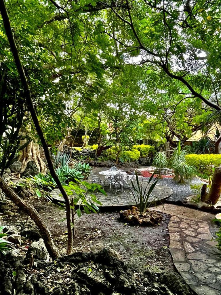 Valle Mistico Tepoztlan