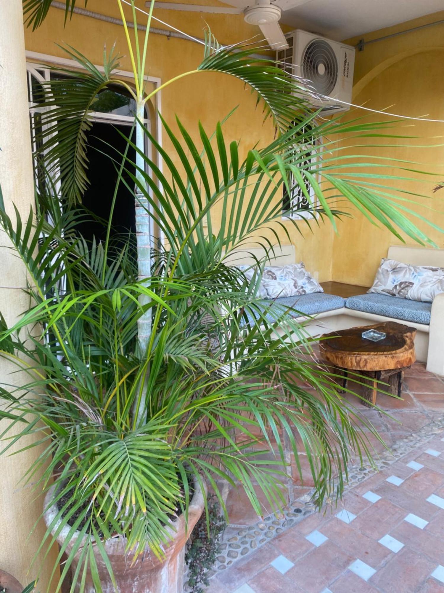 Apartment Cielito Lindo *
