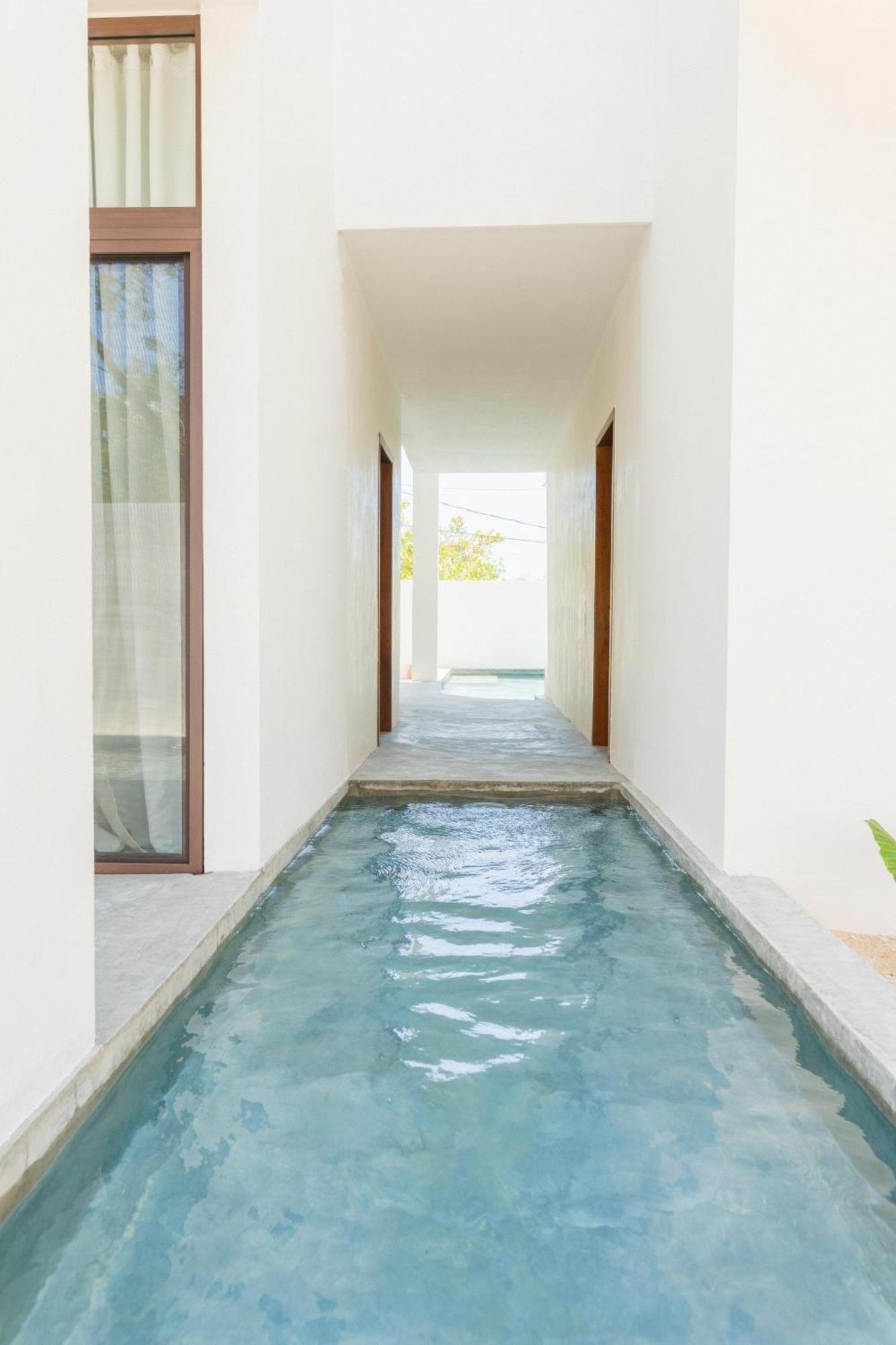 Coccoloba Isla Holbox