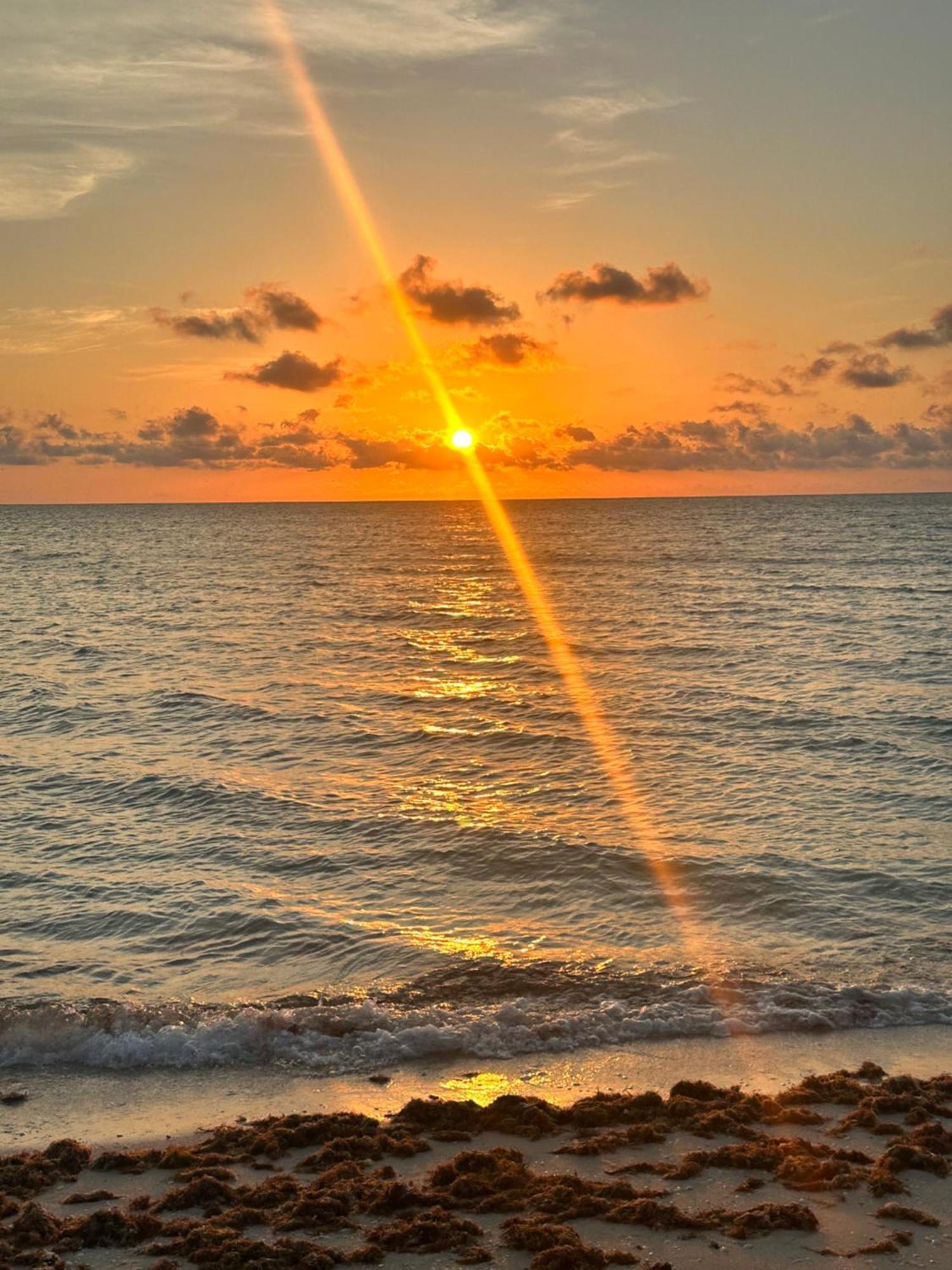 Private 2-bedroom Beachfront In - Your Secluded Escape Celestun