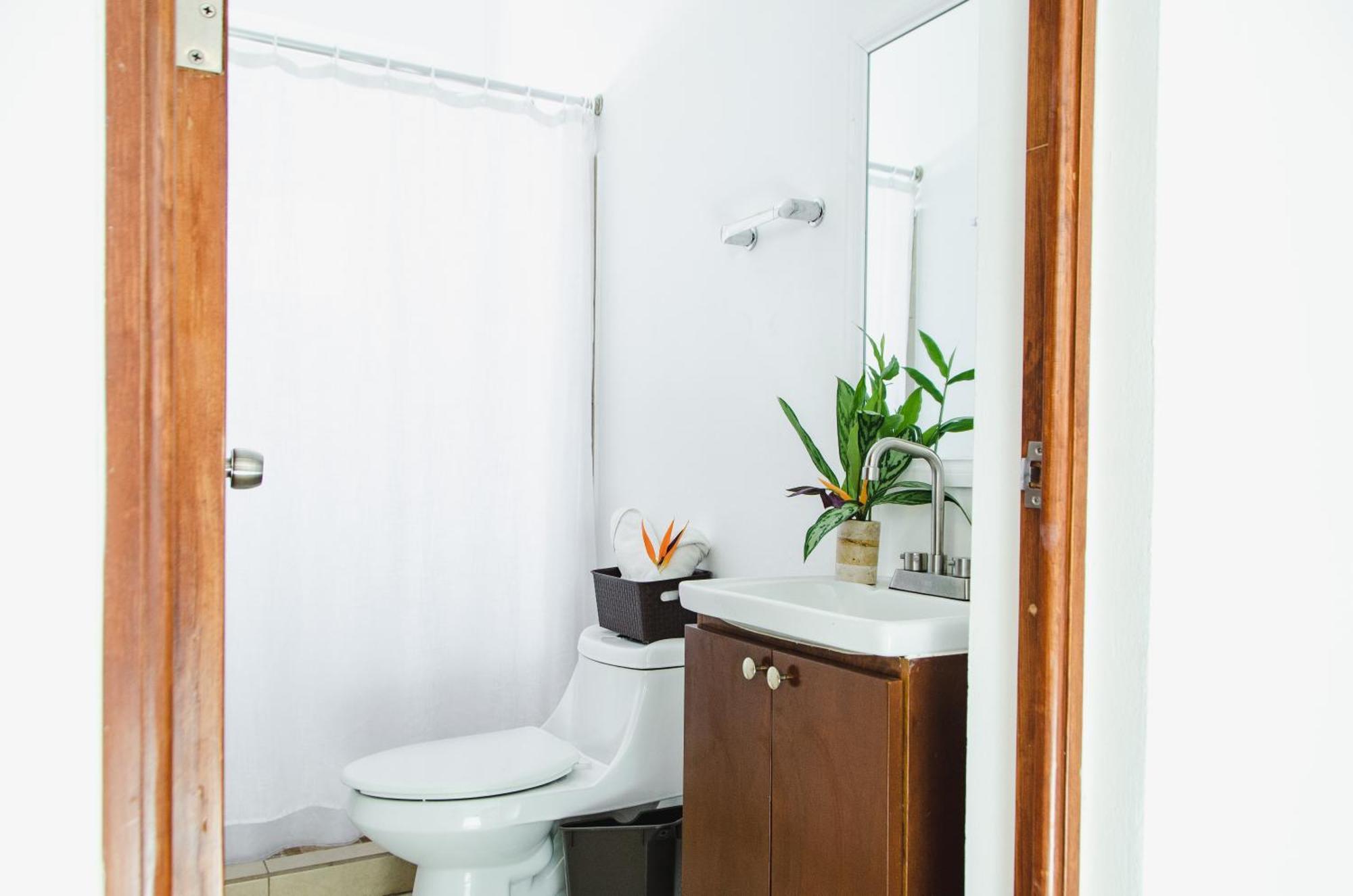 Apartment La Playa Suites *