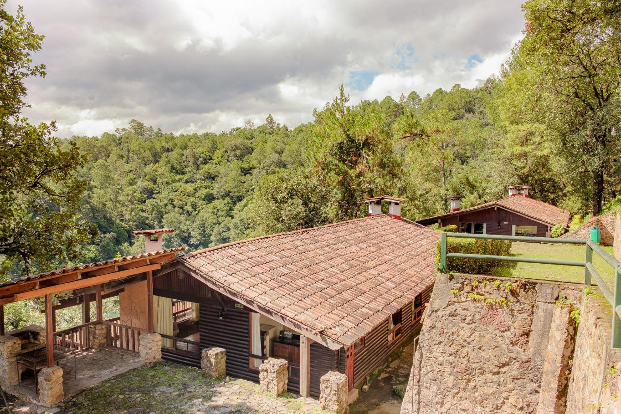 Hotel Forest And 3*